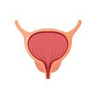 Women